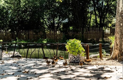 Le Mas Rières : un domaine de caractère pour vos mariages et réceptions