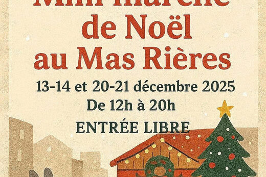NOTRE MINI MARCHE DE NOEL 2025
